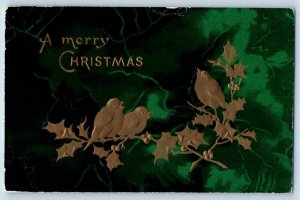 Christmas Postcard Song Birds Golden Holly Berries Embossed East Auburn CA 1910