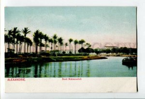 3099285 EGYPT Alexandrie Bord Mahmoudieh Vintage PC