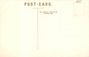 Rope Tree Trinidad Postcard