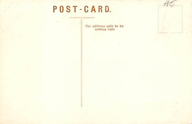 Rope Tree Trinidad Postcard