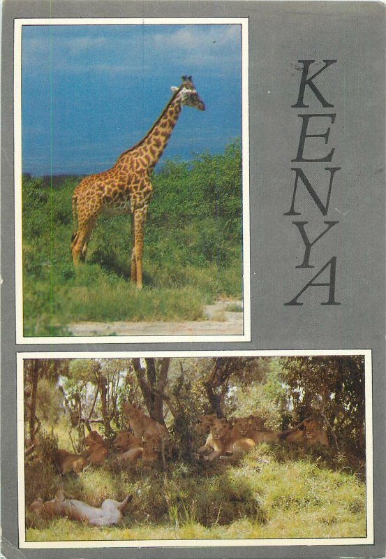 Kenya animal Postcard Giraffe butterfly stamp