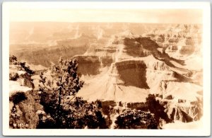 Mountain Alps Rock Formation Tree Real Photo RPPC Postcard