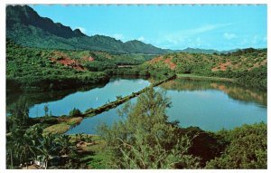 Menehune Fish Pond Island of Kauai Hawaii Postcard