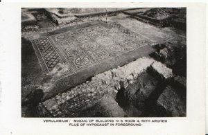 Hertfordshire Postcard - Verulamium - Mosiac of Building IV 8 Room 4 - Ref 5891A