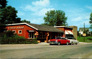 Tennessee Nashville The Original Curio Shop