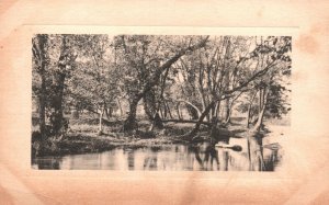 Beautiful Lake Scenic View Of The Nature Trees & Flowing Water Vintage Postcard