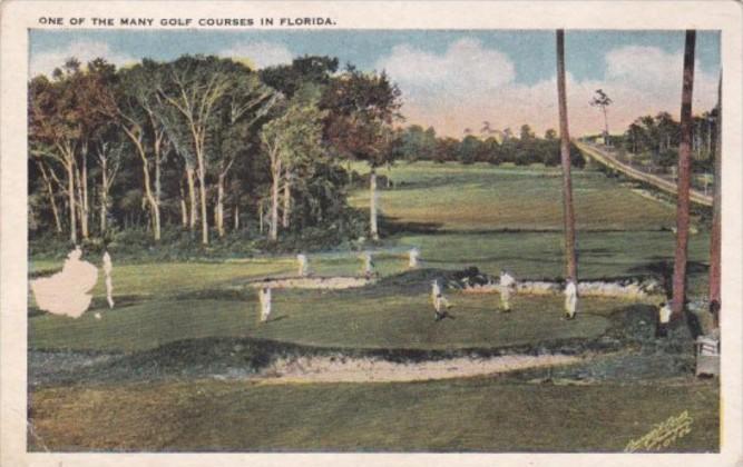 One Of The Many Golf Courses In Florida