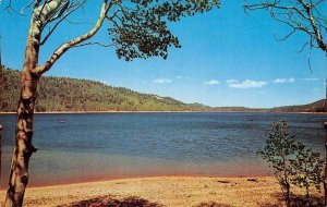 NAVAJO LAKE Cedar Breaks/Cedar City/Kanab, Utah c1950s Vintage Postcard