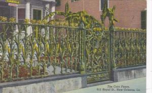 Louisiana New Orleans Ornamental Iron Corn Design Fence 915 Royal Street Curt...