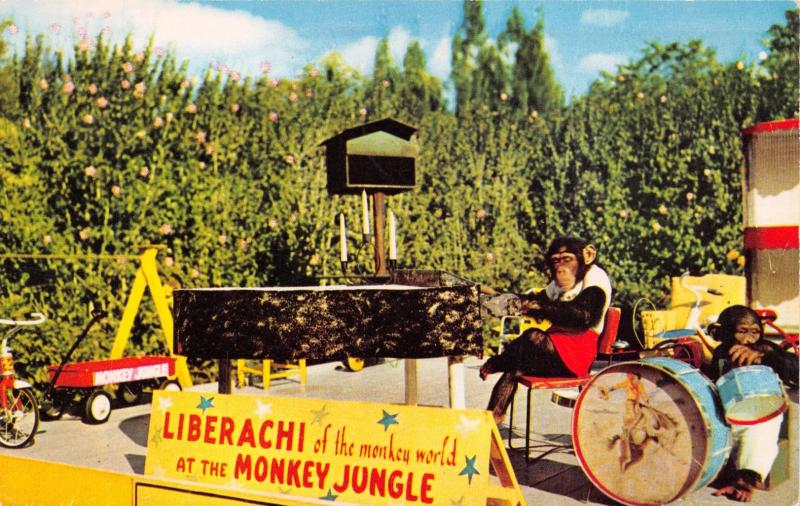 MIAMI FLORIDA~LIBERACHI OF THE MONKEY WORLD~MONKEY JUNGLE BAND~POSTCARD 1959