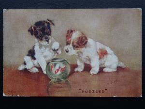 Comic Dog TWO PUPPIES AND A FISH BOWL - PUZZLED c1930's Postcard by Tuck 3598