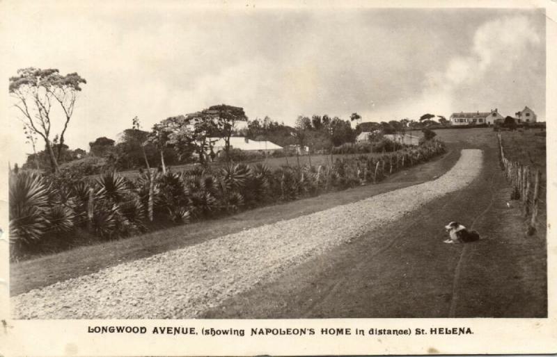 saint helena, LONGWOOD, Longwood Avenue showing Napoleon's Home (1930s) RPPC