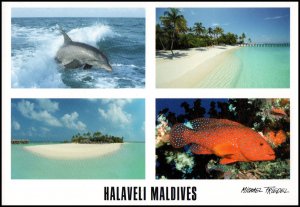 Maldivers Post card - View of sea (1), unused