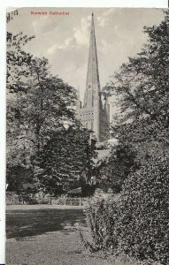 Norfolk Postcard - Norwich Cathedral  A5807