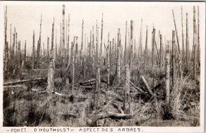 Belgium Houlthoust The Forest WW1 Destruction Real Photo Postcard Y17