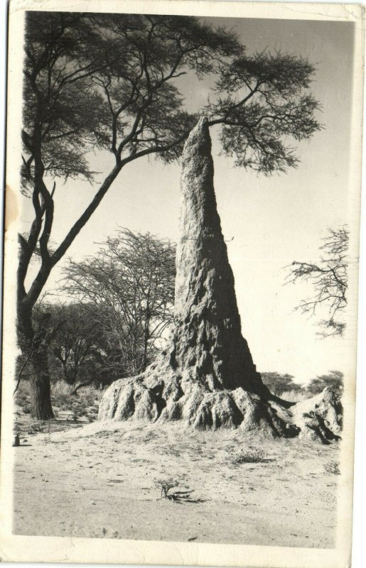 PC NAMIBIA, GERMAN SW AFRICA, TERMITENHÜGEL, Vintage Postcard (b32582) 