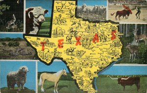 Texas State Map Vintage Postcard Linen Unstamped Unwritten Rattlesnake Palamino  