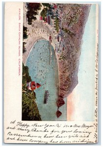 1906 Santa Catalina Islands Avalon California CA Posted Antique Postcard