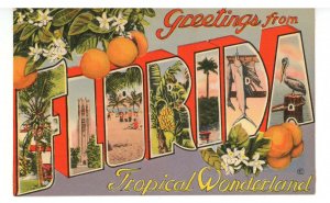 FL - Florida Large Letter & Greetings