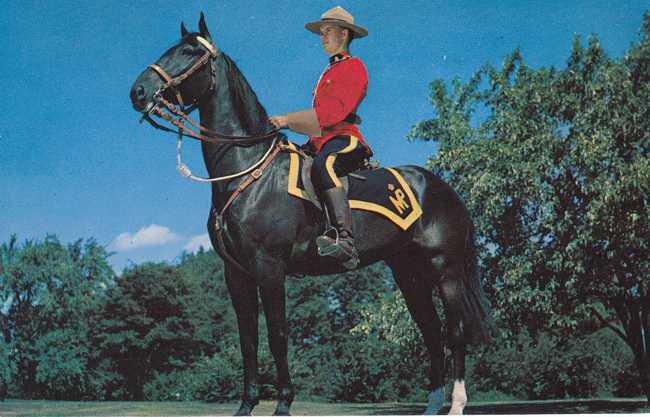 The Royal Canadian Mounted Police of Canada