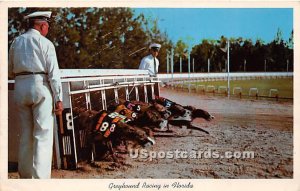 Greyhound Racing - Misc, Florida FL  