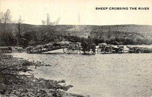 Farming~Ranching  SHEEP CROSSING RIVER  Wagon Bridge~Farmers  ca1910's Postcard