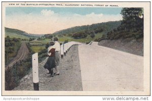 View Of The Buffalo-Pittsburgh Trail Allegheny National Forest Pennsylvania