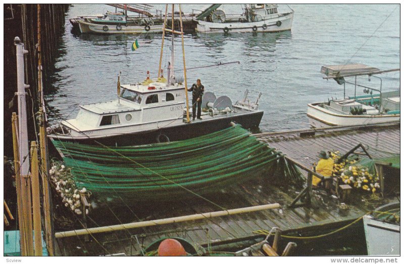 PRINCE RUPERT, British Columbia, Canada, 1940-1960's; A Boat Docks And A Fish...