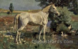 Artist W. Velten Horse Unused 