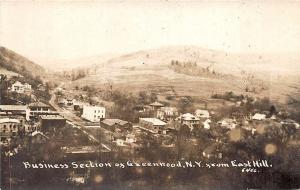 Greenwood NY Business District From East Hill RPPC Postcard