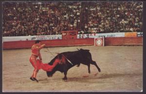 Bullfight,Juarez Bull Ring,Mexico Postcard