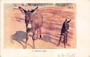 Mamma's Baby Donkey Unused writing on front