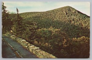 Shenandoah National Park Virginia~Hawk's Bill Mountain~Vintage Postcard