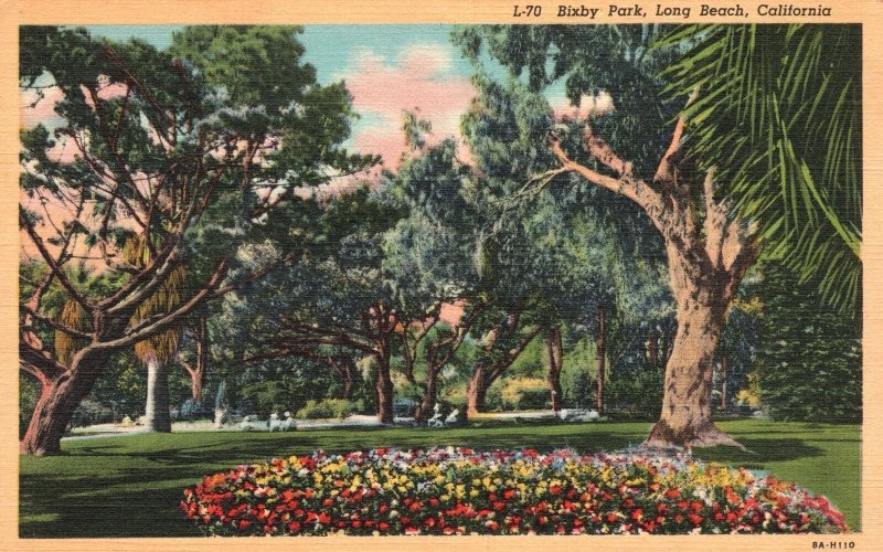 Vintage Postcard Bixby Park Flower Landscapes Trees Long Beach California CA