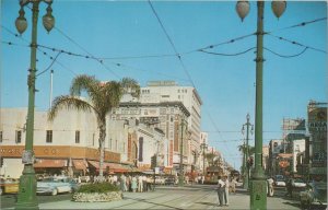 Postcard Canal Street New Orleans Louisiana Vintage Cars