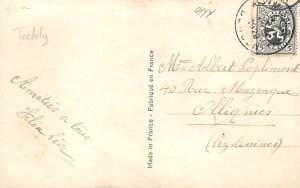 Tinted Children with Teddy Bears Postcard