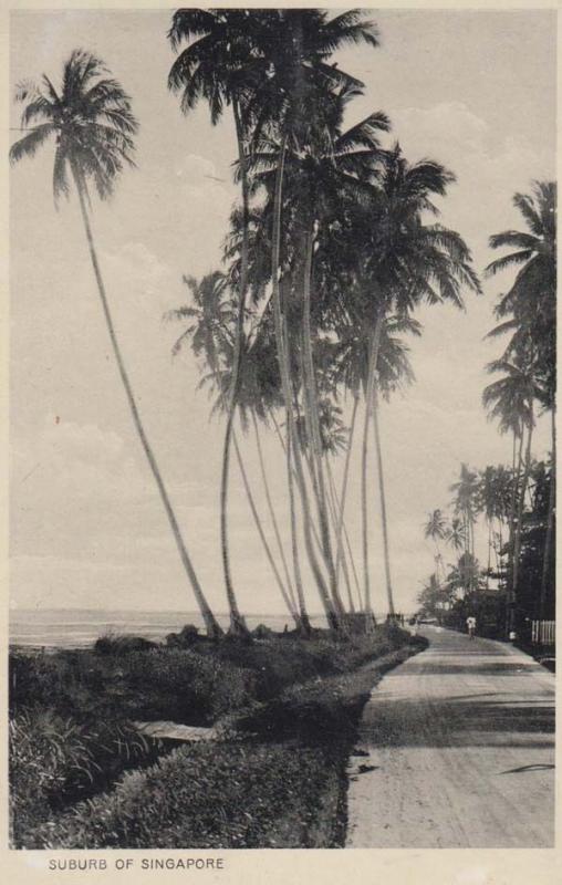 Singapore Suburb Trees WW2 Real Photo Postcard