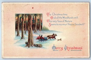 1918 Christmas Horses Sleigh And Dog Winter Scene Elmhurst Illinois IL Postcard