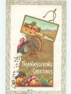 Divided-Back THANKSGIVING SCENE Great Postcard AA0666