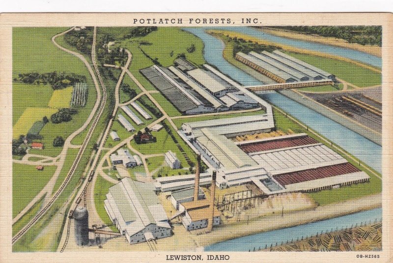 Idaho Lewiston Potlatch Forests Sawmill Largest In The World 1941 Curteich s7207