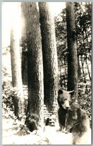 BABY BEAR 1937 VINTAGE REAL PHOTO POSTCARD RPPC