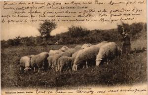 CPA Folklore - Auvergne - Cantal - Moutons d'Auvergne au Paturage (773180)