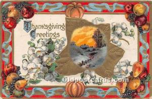  Thanksgiving Greetings Postcard 