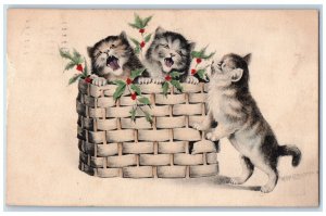 1909 Christmas Cat Kittens In Basket Holly Berries Atlantic City NJ Postcard