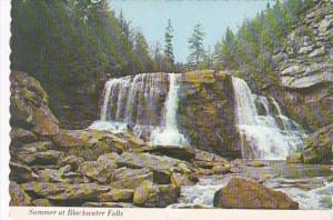 West Virginia Summer At Blackwater Falls