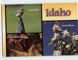 Postcard Idaho USA