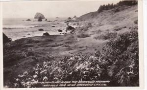 California Crescent City Surf Along The Redwood Highway Real Photo