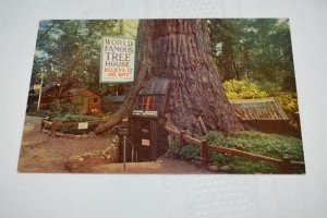 World Famous Tree House Redwood Highway Postcard Mike Roberts C571