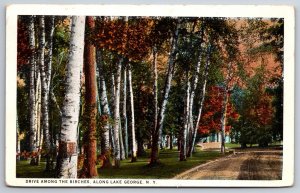 Lake George New York~Drive Among The Birches Scene~Postmarked~Vintage Postcard