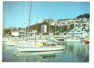 Boat Harbour, Oriental Bay, Wellington, New Zealand